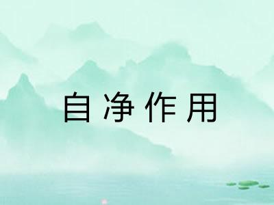 自净作用