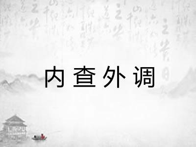 内查外调