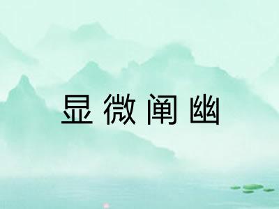 显微阐幽