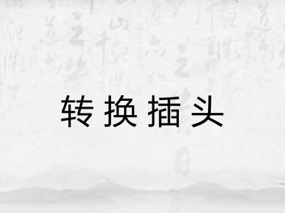 转换插头