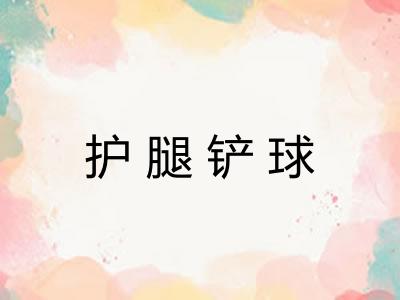 护腿铲球