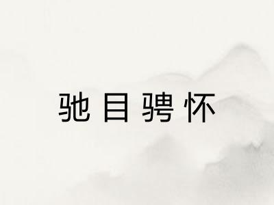 驰目骋怀