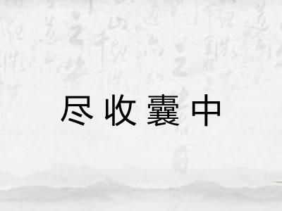 尽收囊中