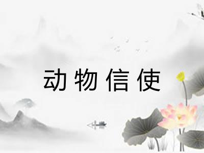 动物信使