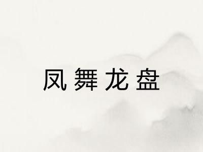 凤舞龙盘