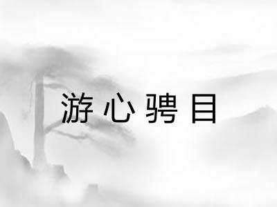 游心骋目