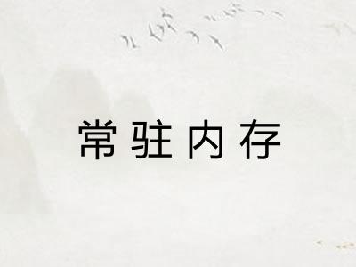 常驻内存