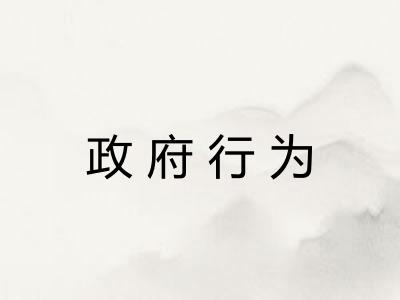 政府行为