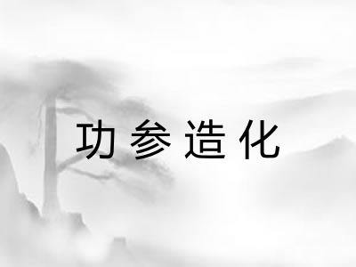 功参造化