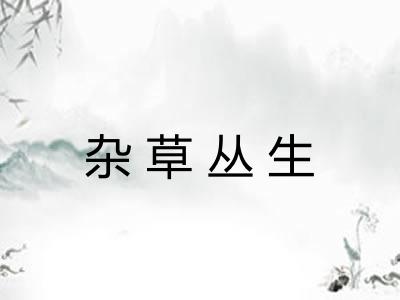 杂草丛生