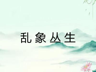 乱象丛生