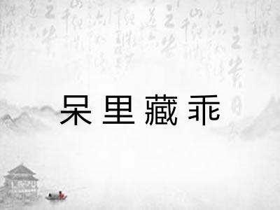 呆里藏乖
