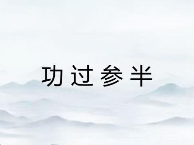 功过参半
