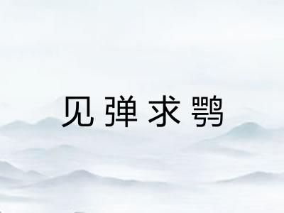 见弹求鹗