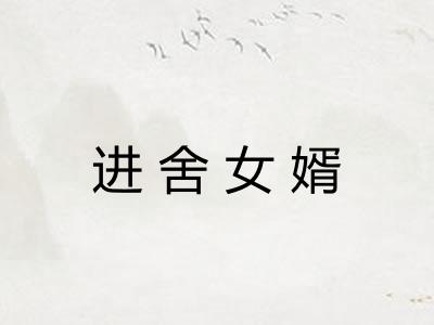 进舍女婿