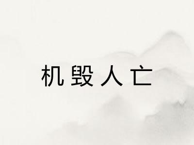 机毁人亡