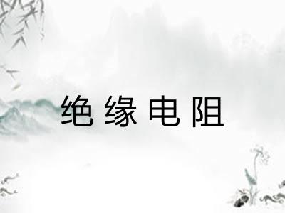 绝缘电阻