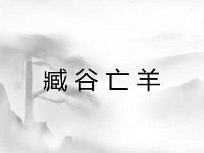 臧谷亡羊