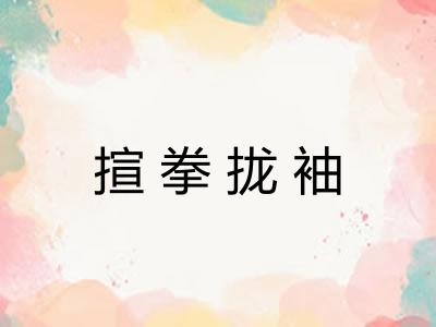 揎拳拢袖 揎拳拢袖
