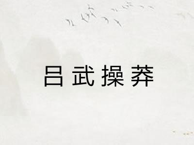 吕武操莽