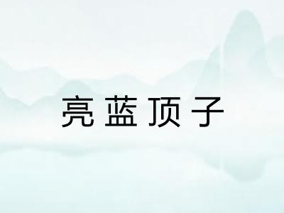 亮蓝顶子