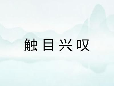 触目兴叹