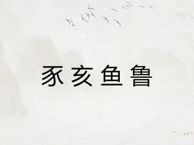 豕亥鱼鲁