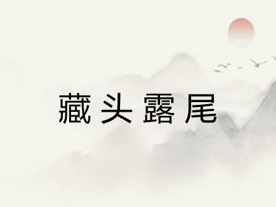 藏头露尾