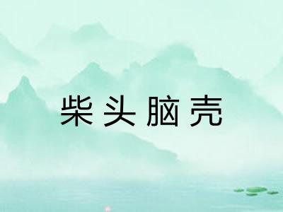 柴头脑壳