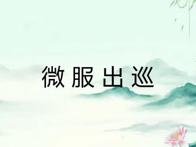 微服出巡
