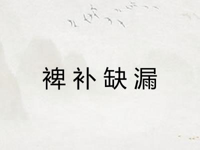 裨补缺漏