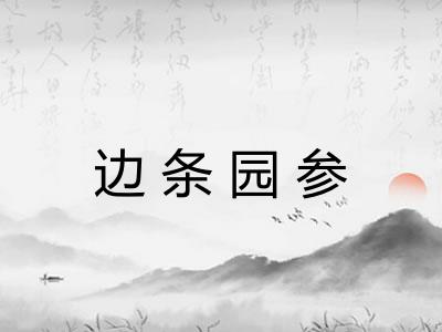 边条园参