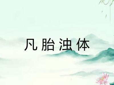 凡胎浊体