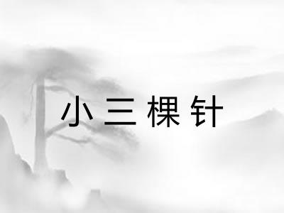 小三棵针