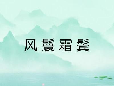 风鬟霜鬓