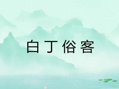 白丁俗客