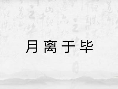 月离于毕