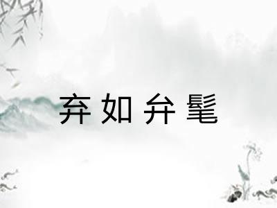 弃如弁髦