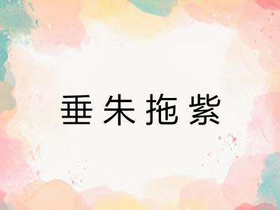 垂朱拖紫