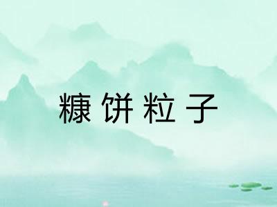糠饼粒子