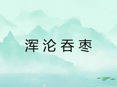 浑沦吞枣
