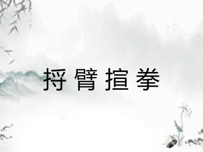 捋臂揎拳