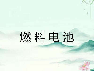 燃料电池