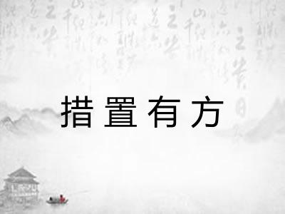 措置有方