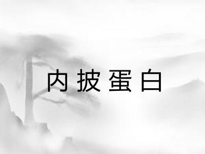 内披蛋白