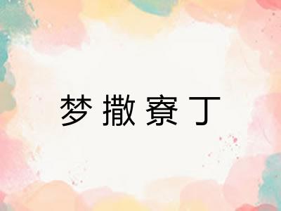 梦撒寮丁