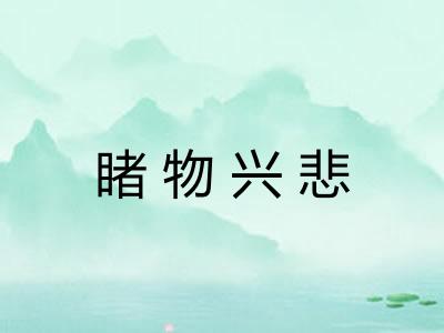 睹物兴悲