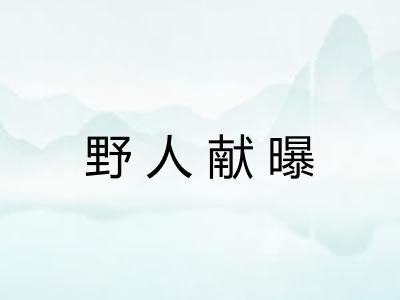 野人献曝 野人献曝