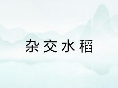 杂交水稻