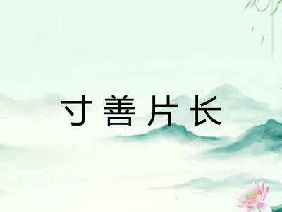 寸善片长